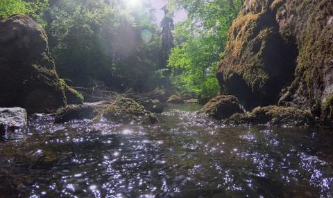 Brook in summer Stock Photos