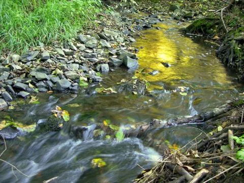 Brook at sunrise Stock Photos