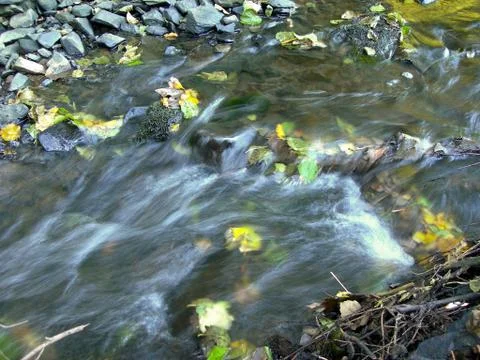 Brook at sunrise Stock Photos