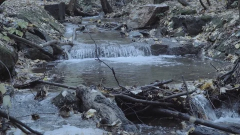 Brook in teh forest Stock Footage 98212961