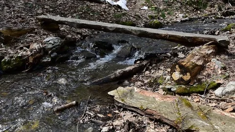 Brook Trail - Mount Greylock State Park - Lanesboro, MA Stockbeeldmateriaal 88509413
