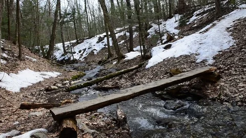 Brook Trail - Mount Greylock State Park - Adams, Massachusetts Stockbeeldmateriaal 88509414