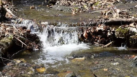 Brook Trail - Mount Greylock State Park - Lanesboro, MA Stockbeeldmateriaal 88509422