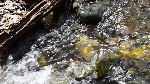 Brook Trail - Mount Greylock State Park - Lanesboro, MA Stockbeeldmateriaal 88509446