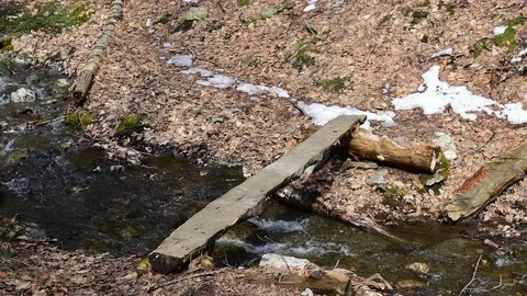 Brook Trail - Mount Greylock State Park - Lanesboro, MA Stockbeeldmateriaal 88509551