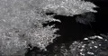 Brook Transparent Frozen Water Ice Flowers Xmas Season Cold Weather Shiny Effect 4k or 4k+ Resolution