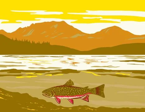 Brook Trout in Wind River Mountain Range Western Wyoming WPA Art. Illustrazione stock