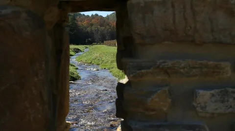 Brook view Stock Footage 874868