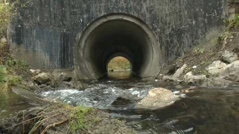 Brook. Water flows through an old tunnel Stock Footage 115324099