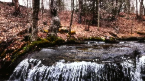 BROOK WITH WATERFALL Stock Footage 198420761