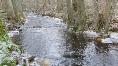 Brook in winter snowing 스톡 동영상 85985016