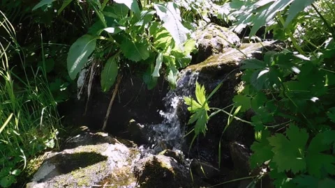 Brook_1 Vídeos de archivo 131819564