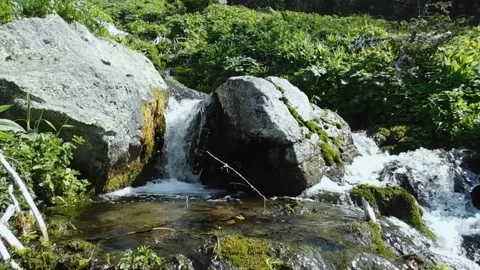 Brook_2 Stock Footage 131819568