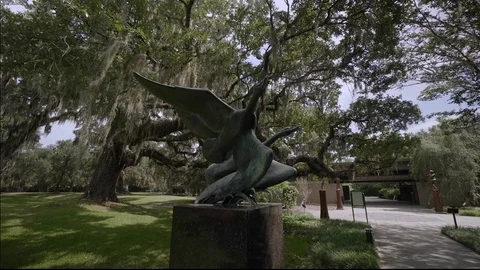 Brookgreen Gardens Stock Footage 73824178