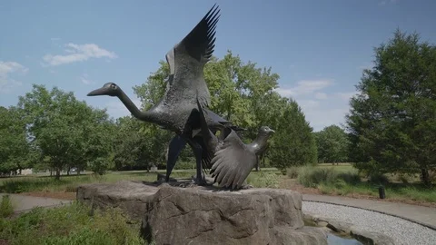 Brookgreen Gardens Video stock 73828780