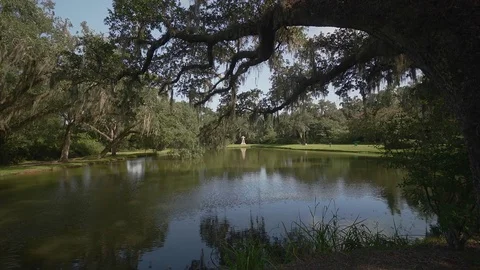 Brookgreen Gardens Vídeo Stock 73837341