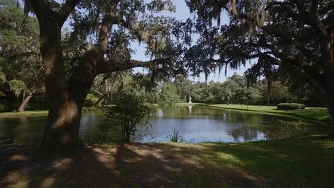 Brookgreen Gardens Stock Footage 73837706