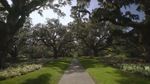 Brookgreen Gardens Stock Footage 73840453