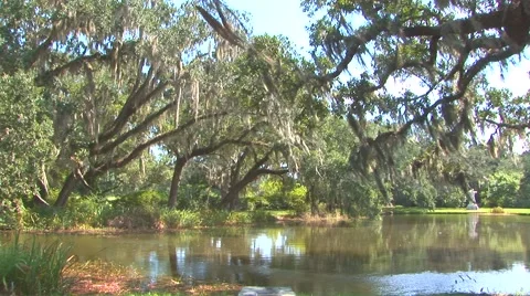 Brookgreen Gardens Pond Stock Footage 40684005