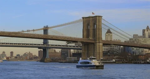 Brooklyn and Manhattan Bridges. Stock Footage 103292895