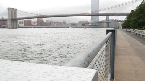 Brooklyn Bridge and Manhattan Bridge from Brooklyn Bridge park, New York City Stock-Footage 336040150