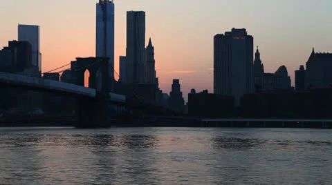 Brooklyn bridge with bird 스톡 동영상 24638867