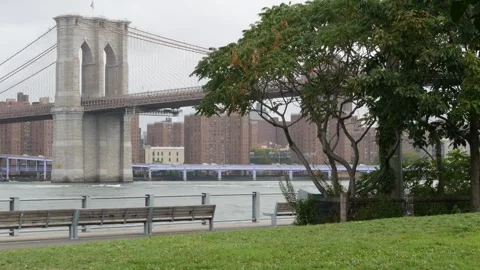 Brooklyn Bridge from Brooklyn Bridge Park, New York City rainy day, USA. Green Video stock 338348916