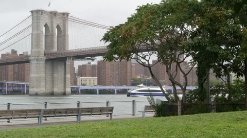 Brooklyn Bridge from Brooklyn Bridge Park, New York City rainy day, USA. Green Video stock 341660869
