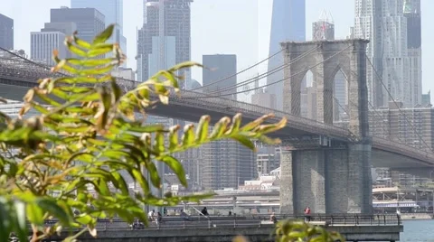 Brooklyn Bridge daytime, view from Dumbo Stock Footage 68959043