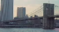 Brooklyn Bridge HD Footage