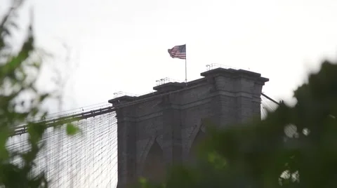 Brooklyn Bridge Vídeo Stock 57976588