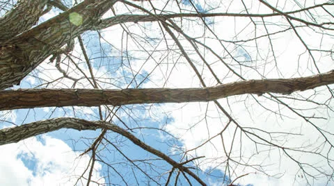 Brooklyn Bridge motion control timelapse Stock-Footage 22967202