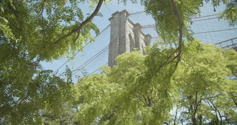 Brooklyn bridge movement through trees Stock Footage 131194145