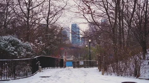 Brooklyn Bridge Park Stock Footage 301648694