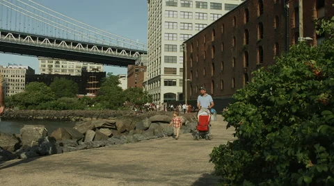 Brooklyn Bridge Park in the Summer Vídeo Stock 42337662