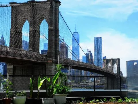 Brooklyn bridge 库存照片