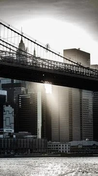 Brooklyn bridge Stock Photos