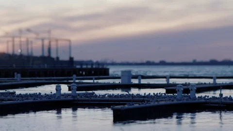 Brooklyn Bridge Pier with Birds Stock Footage 86184075