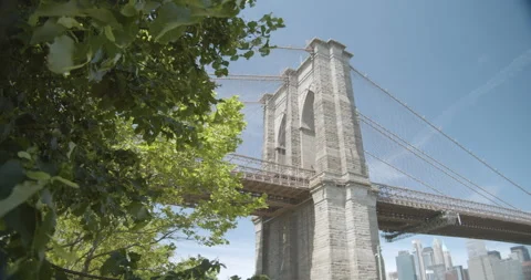 Brooklyn bridge reveal from trees Stock Footage 131202990