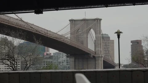 The Brooklyn Bridge rises in the background as bikers ride by in the foregro Stock Footage 241495014