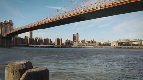 Brooklyn Bridge from shore Stock Footage 236562947