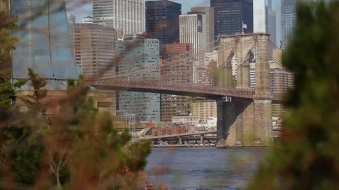 Brooklyn Bridge Through Trees Stock-Footage 88593076