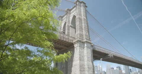 Brooklyn bridge through trees Stock Footage 131201682