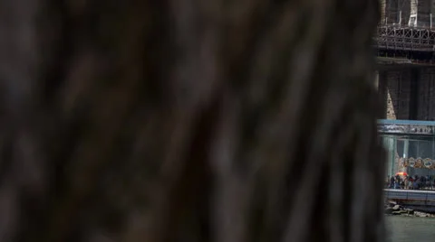 Brooklyn Bridge timelapse Stock Footage 22978436