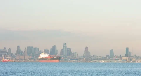 Brooklyn Cityscape (4K RAW) Video stock 46499697