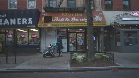 Brooklyn driving car Stock Footage 161132645