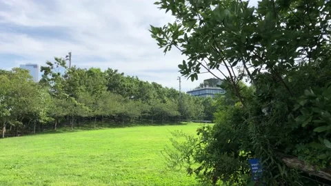 Brooklyn DUMBO 動画素材 137916976