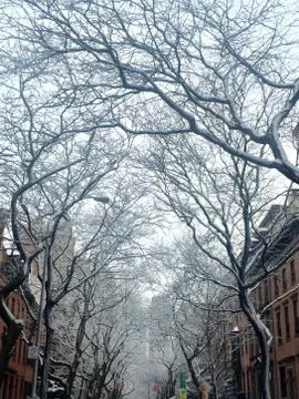 Brooklyn Heights in Winter Stock Photos