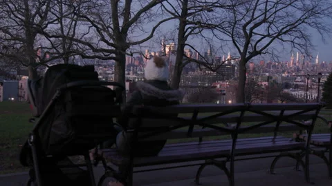 Brooklyn park bench with Manhattan in Background Stock Footage 168484523