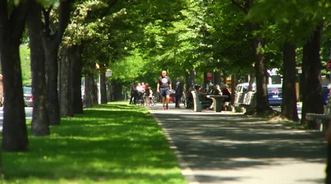Brooklyn Park Day Stock Footage 57686451